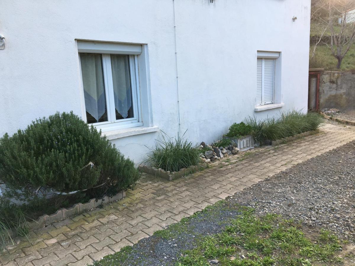 Appartement T1Bis Dans Un Mas 旺德尔港 外观 照片